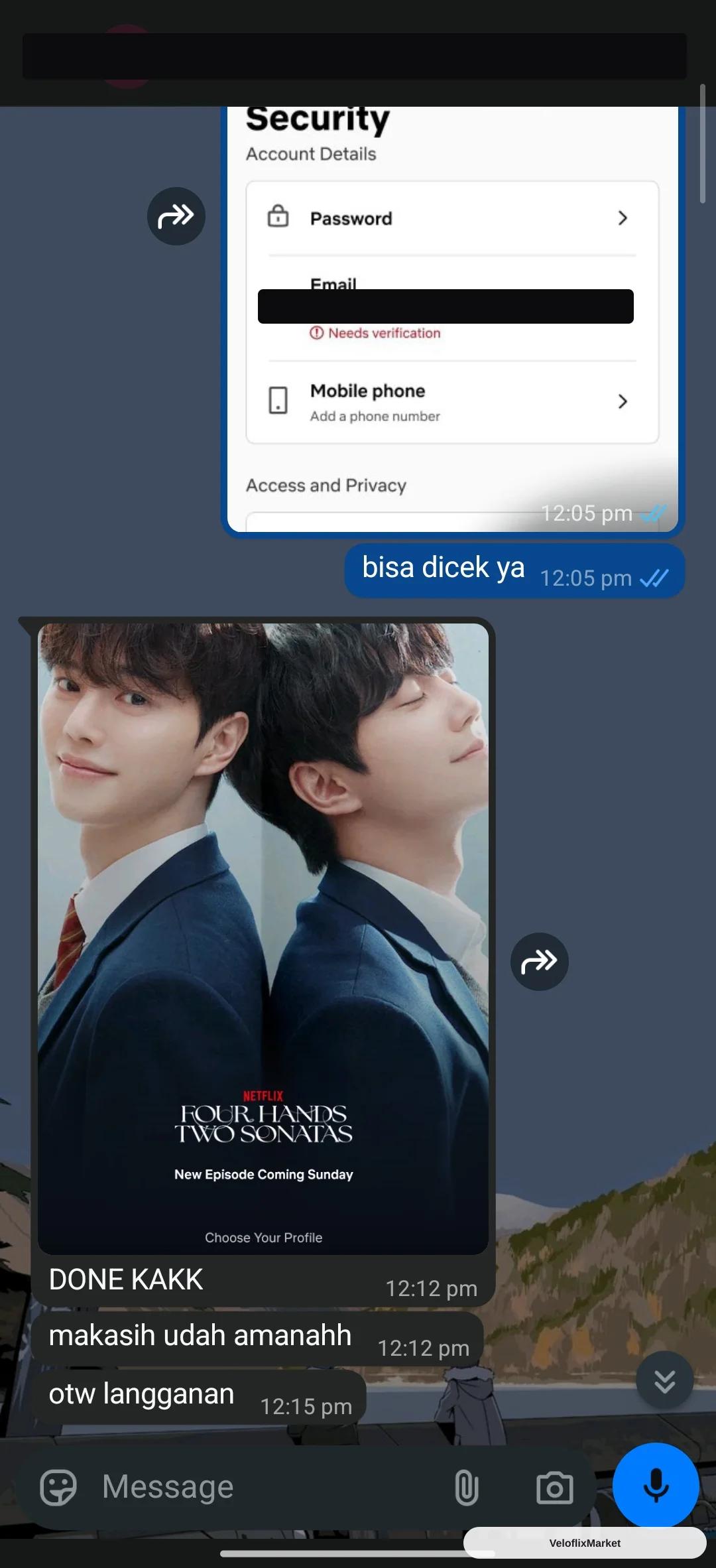 Netflix Private Account