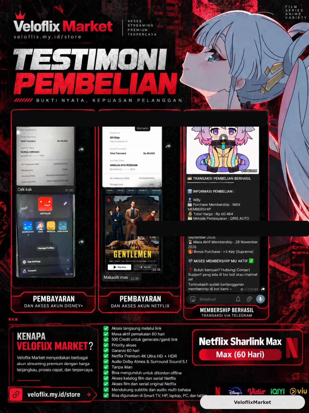 Netflix Sharlink MAX
