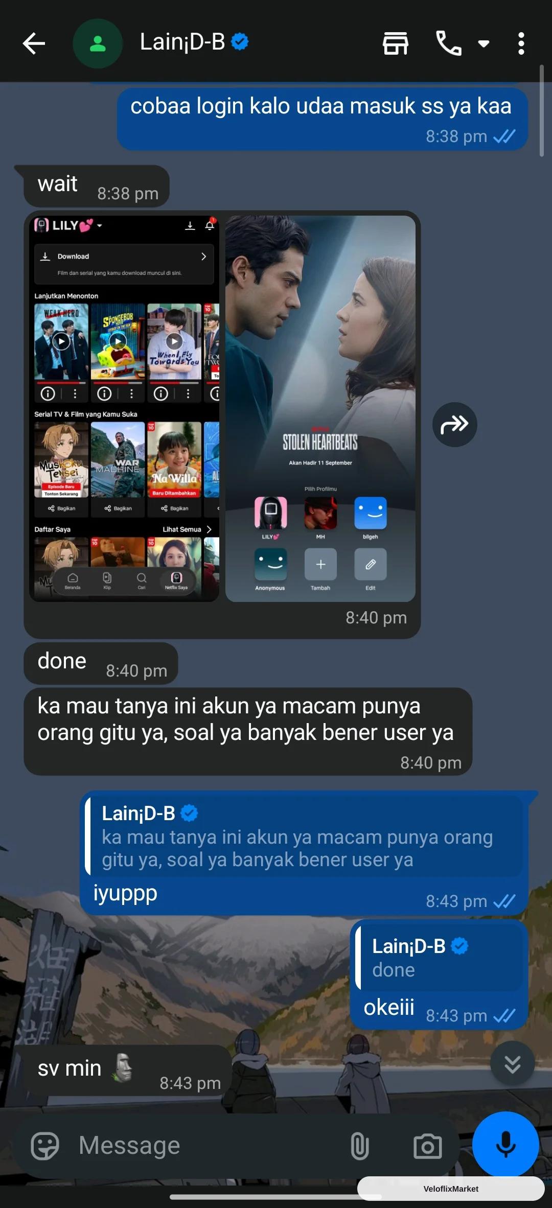 Netflix Sharlink Lite