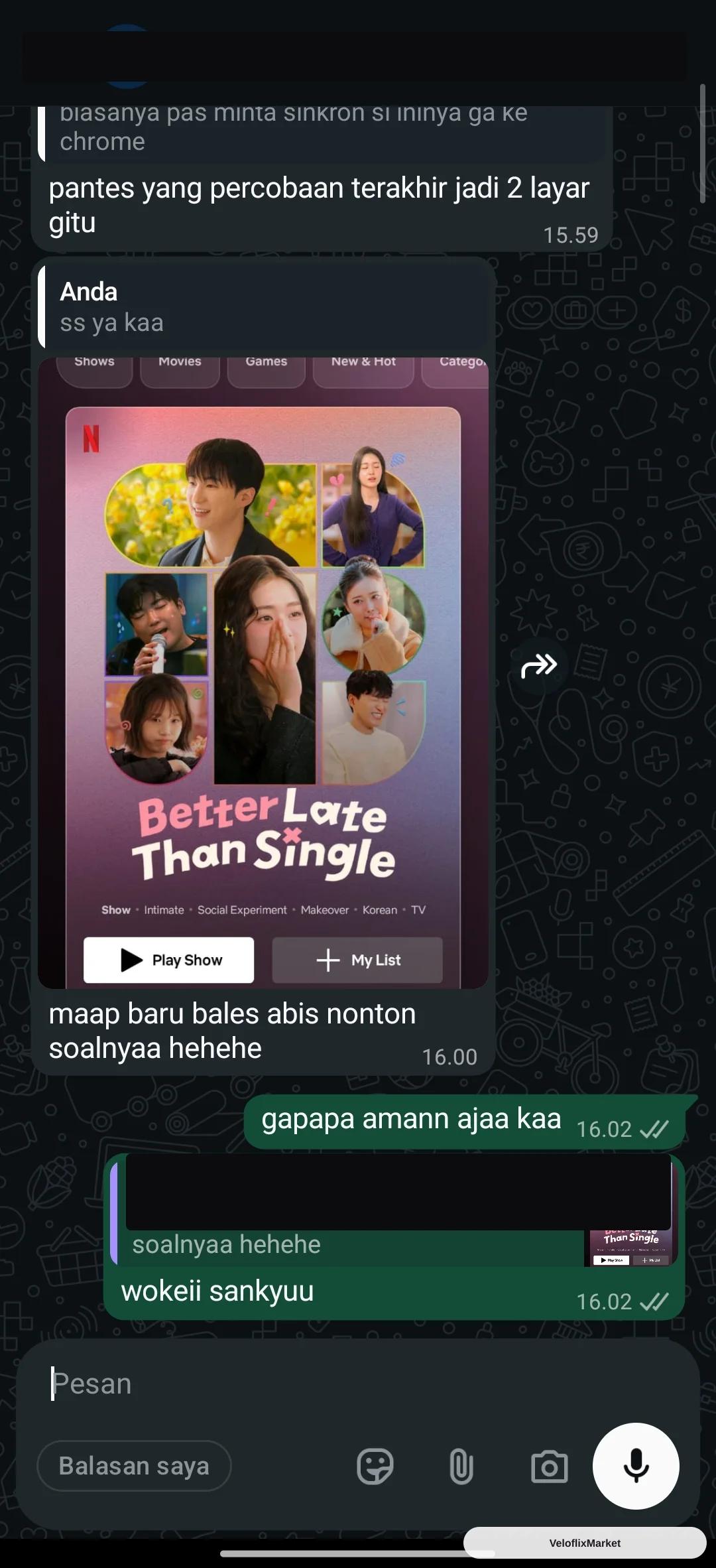Netflix Sharlink Lite