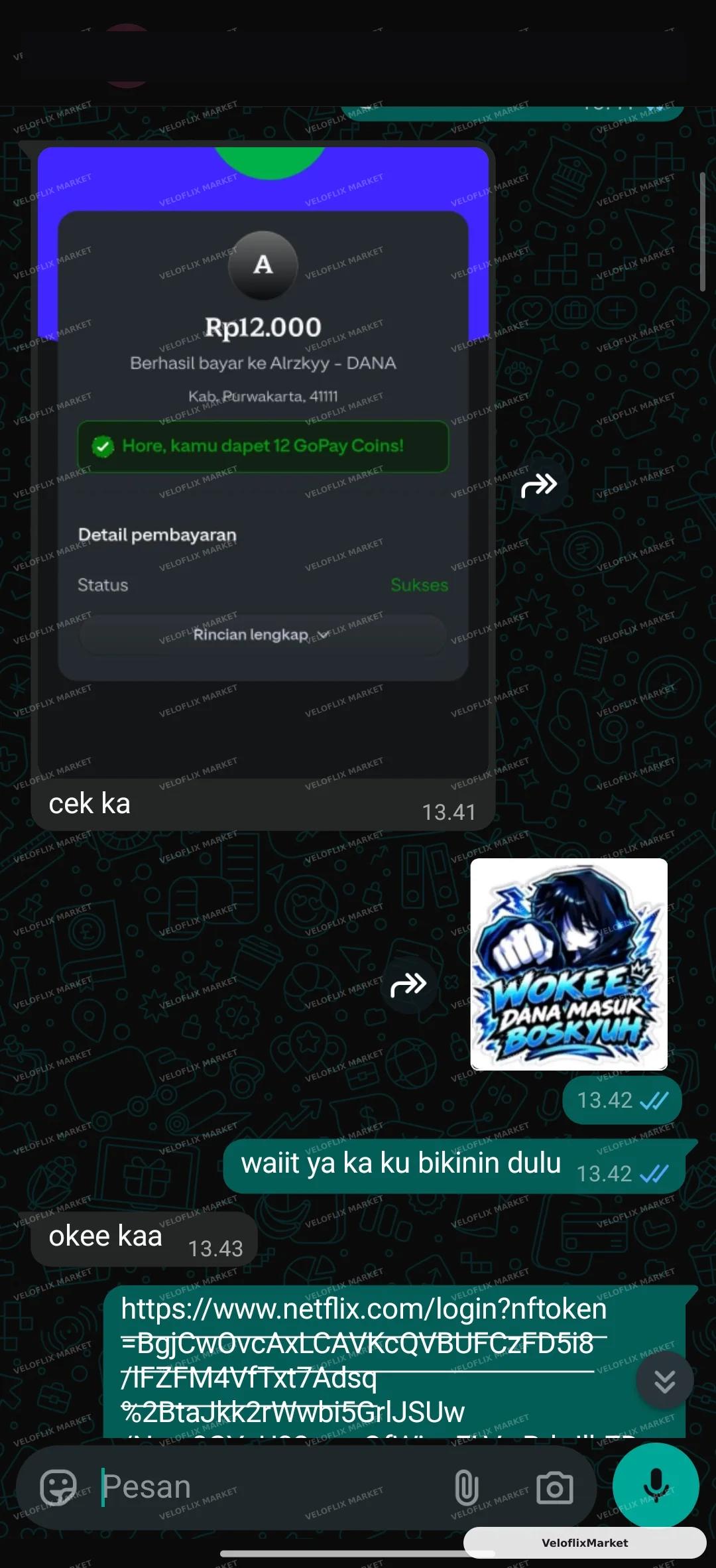 Netflix Sharlink Reguler