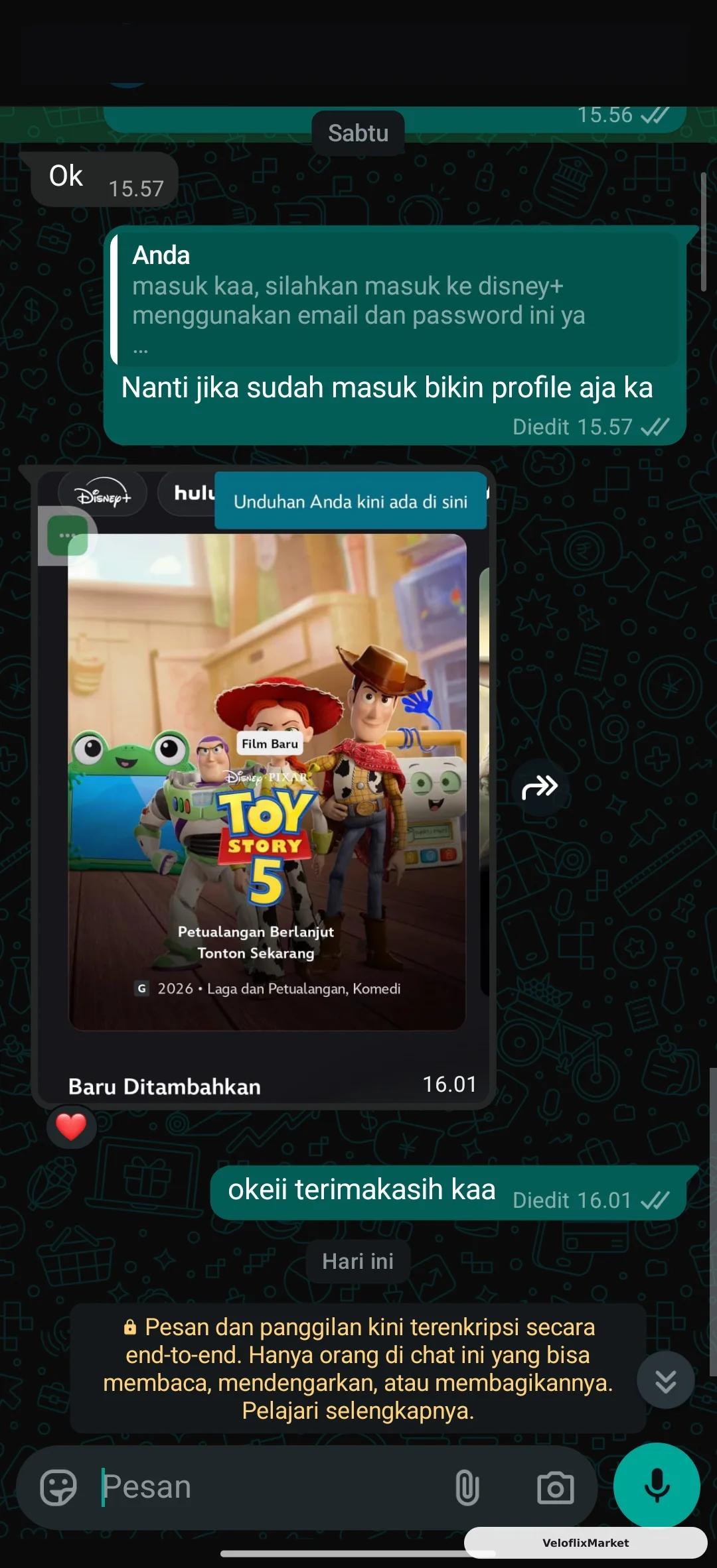 Disney+ Sharing 1P1U