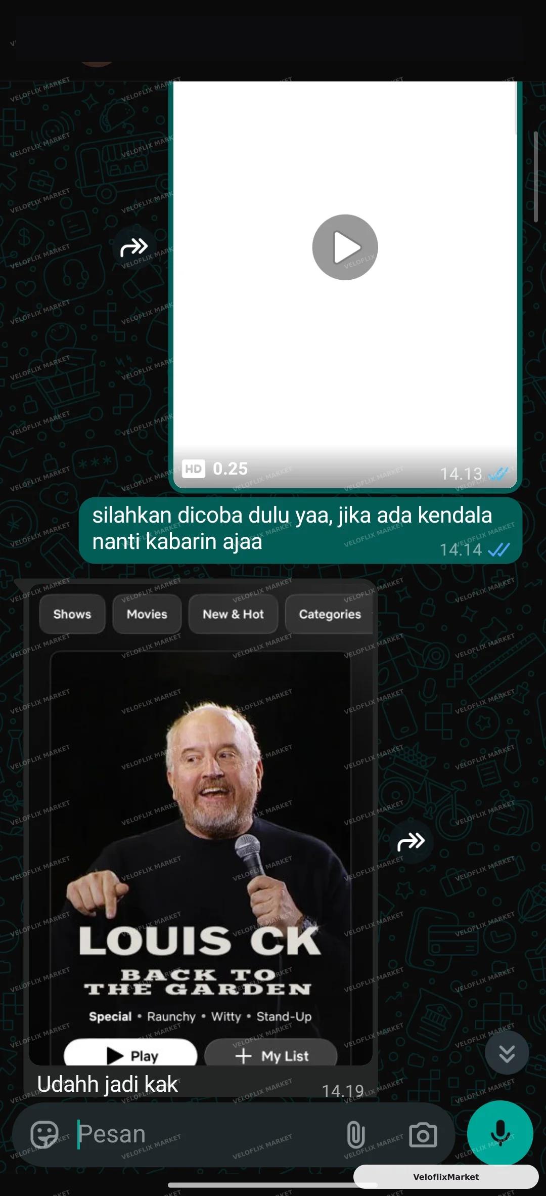 Netflix Sharlink Lite