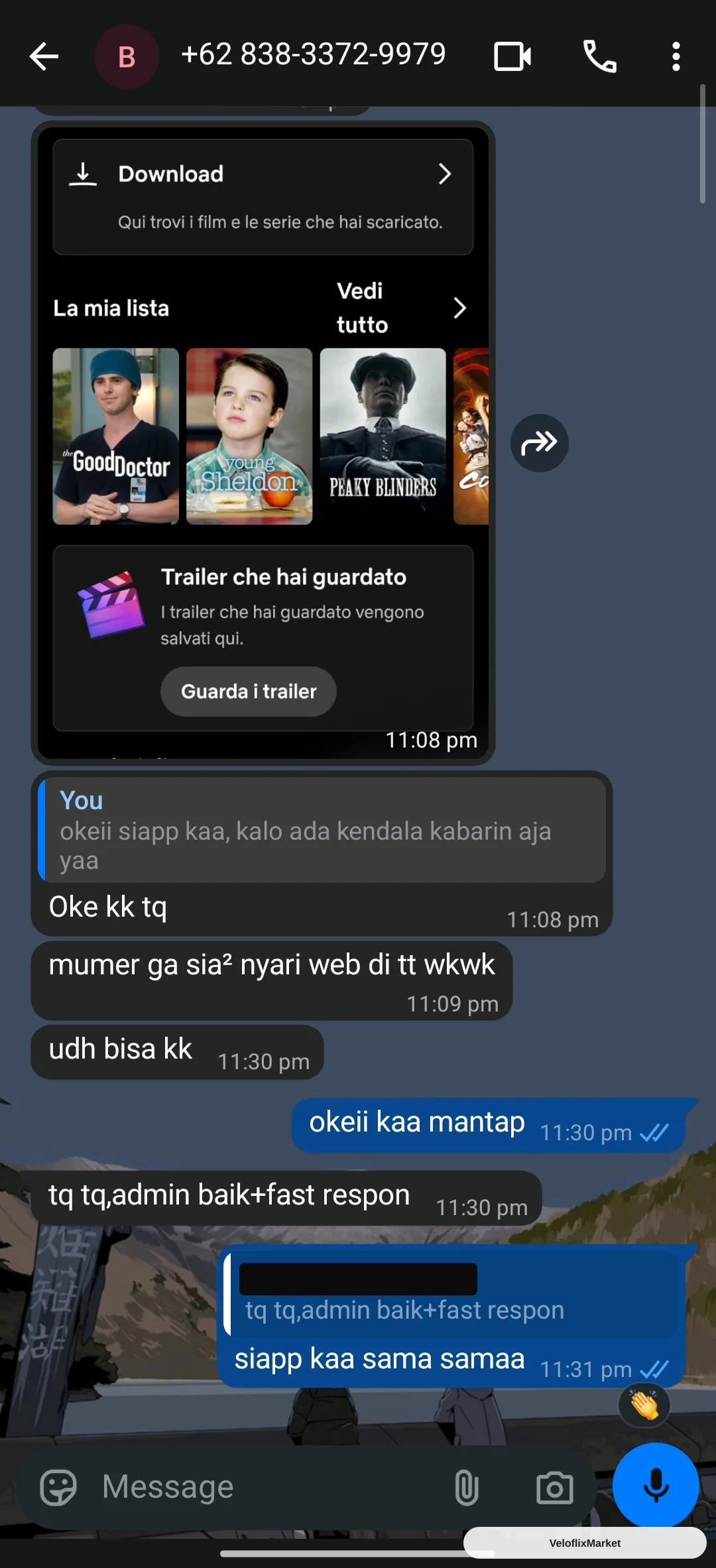 Netflix Sharlink Lite