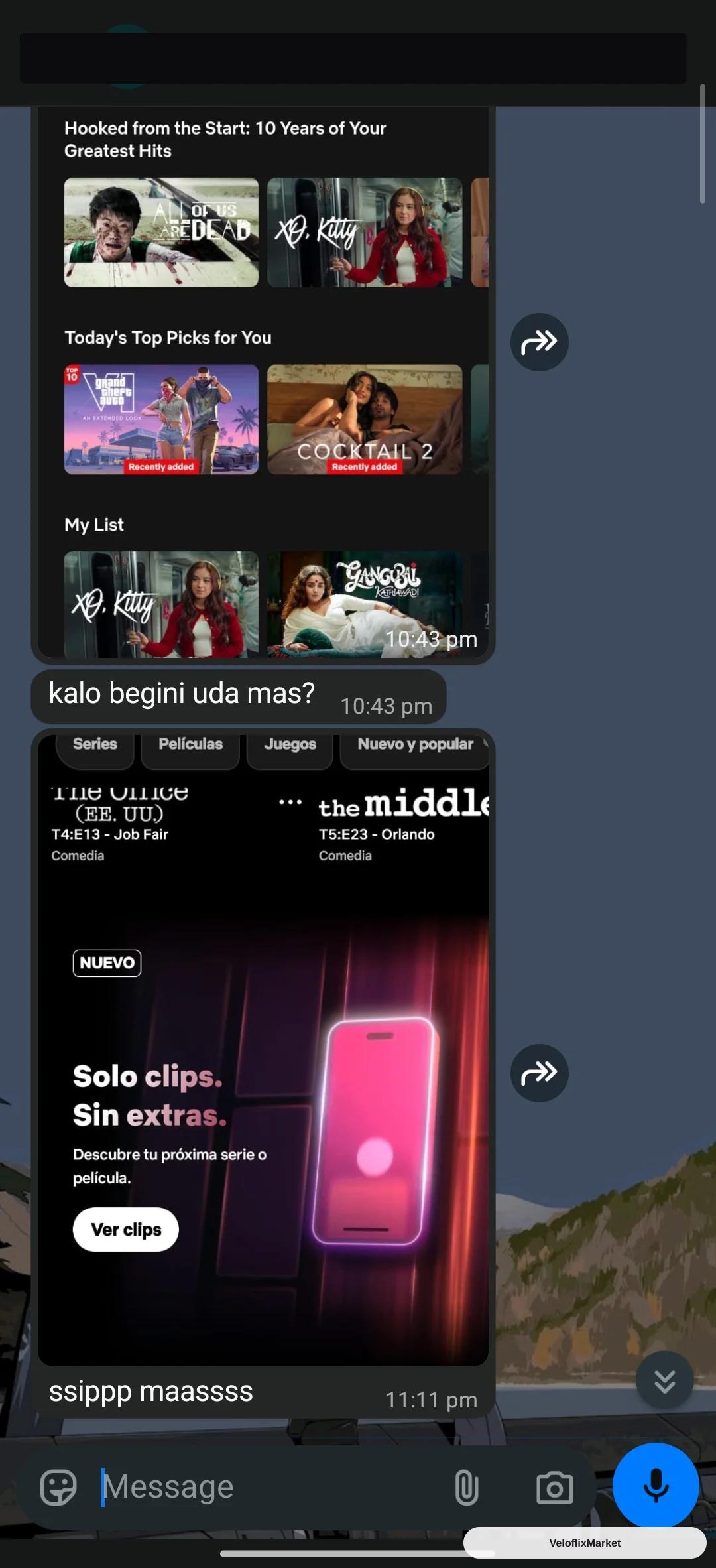 Netflix Sharlink Reguler