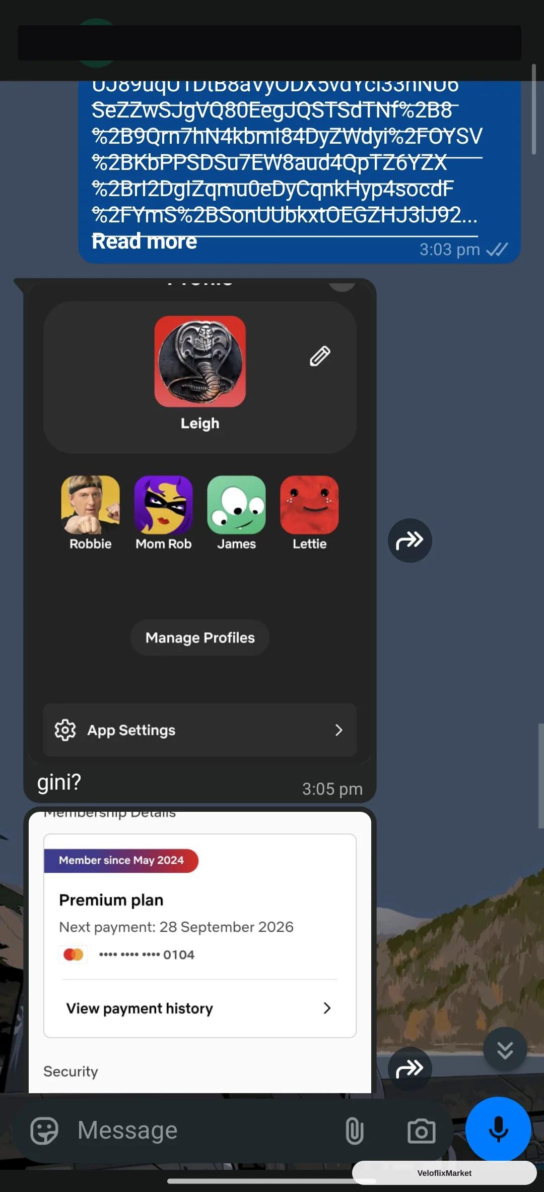 Netflix Sharlink Lite