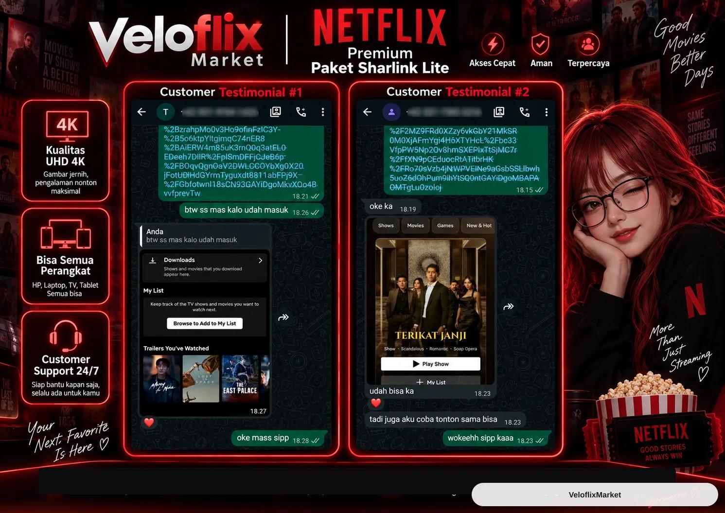 Netflix Sharlink Lite