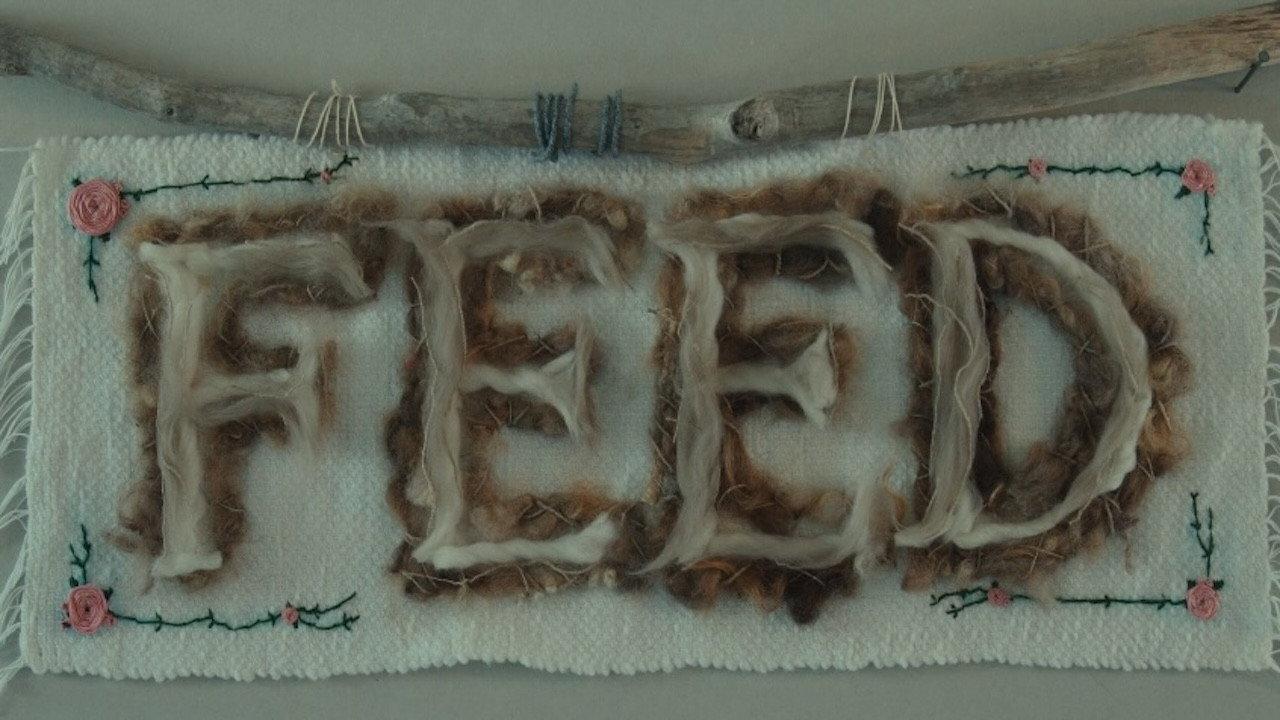 Feed backdrop