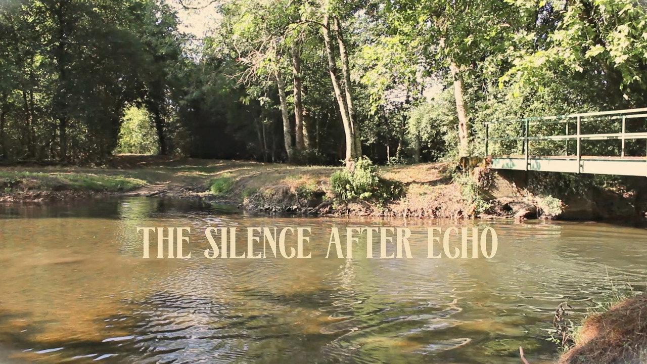 The silence after echo backdrop