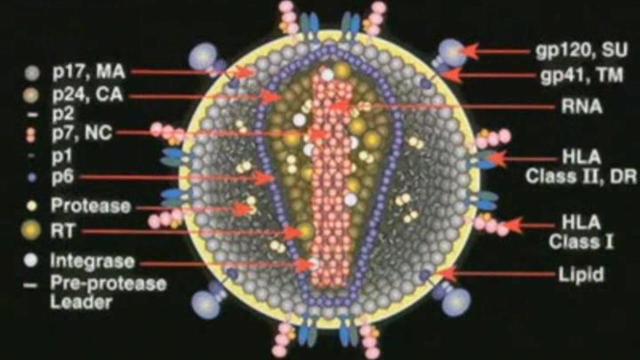 Deconstructing the Myth of Aids backdrop