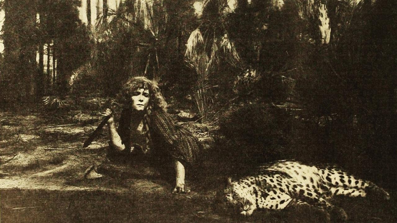 Lost in the Jungle backdrop