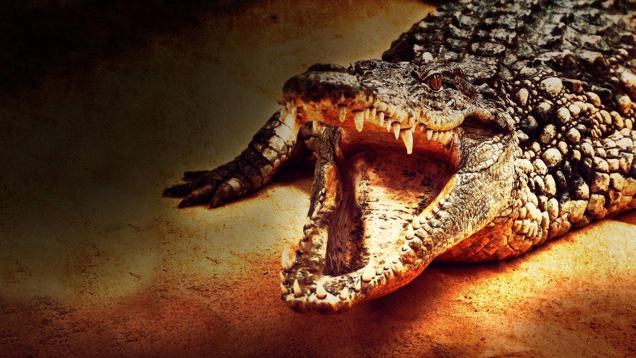 Lair Of The Killer Crocs backdrop