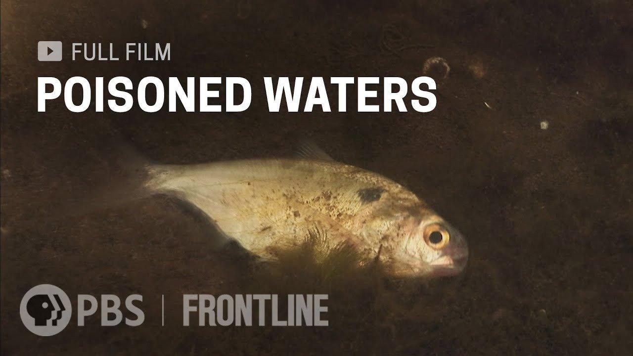 Poisoned Waters backdrop