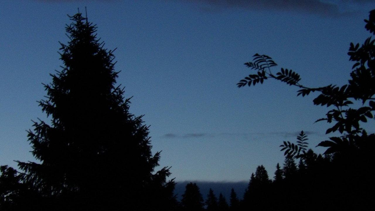 The Blue Hour backdrop