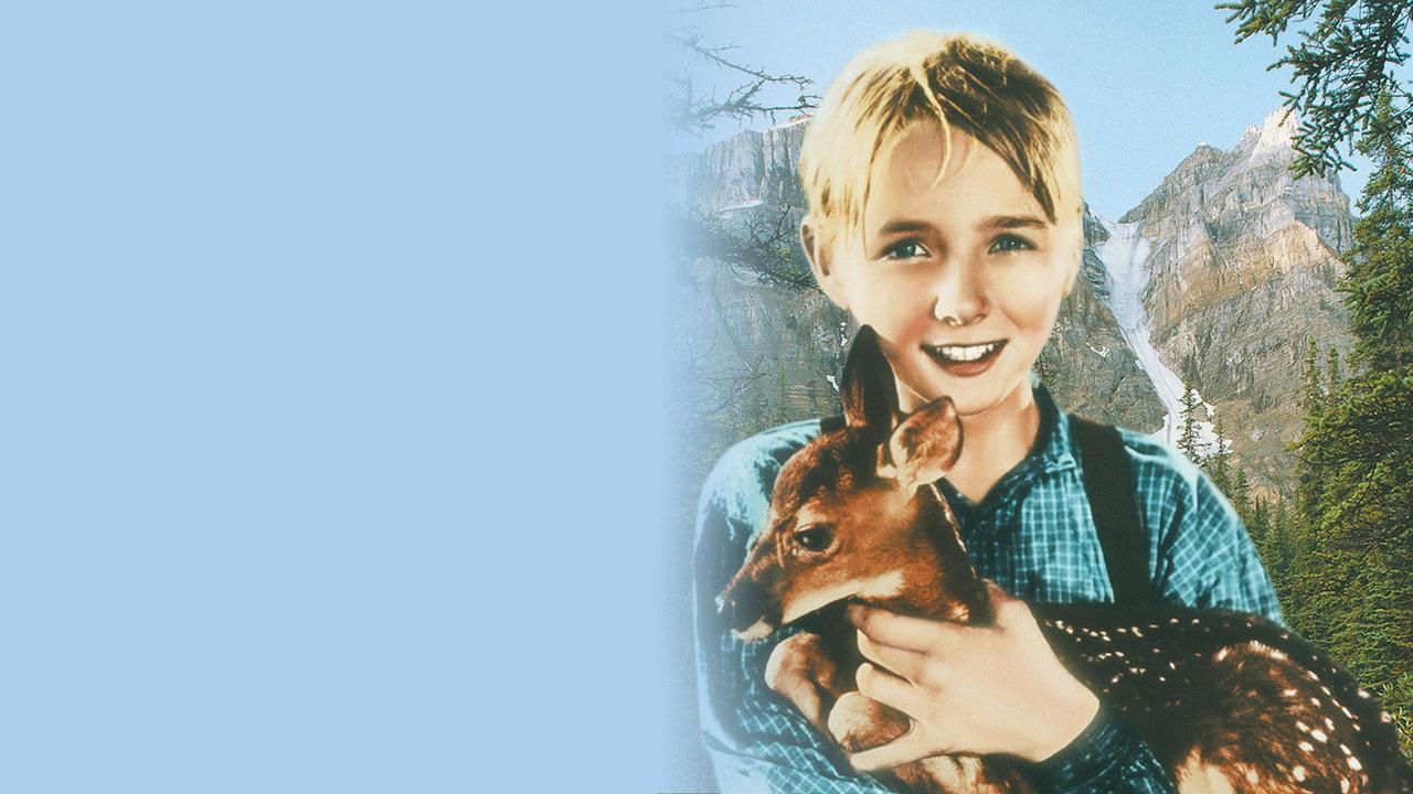 The Yearling backdrop