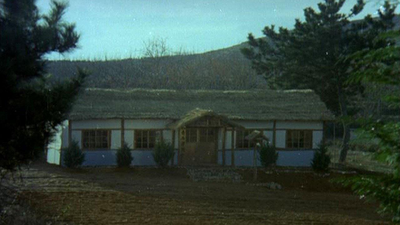 The Evergreen Tree backdrop