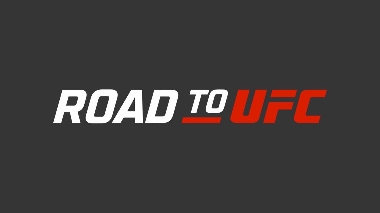 Road to UFC backdrop