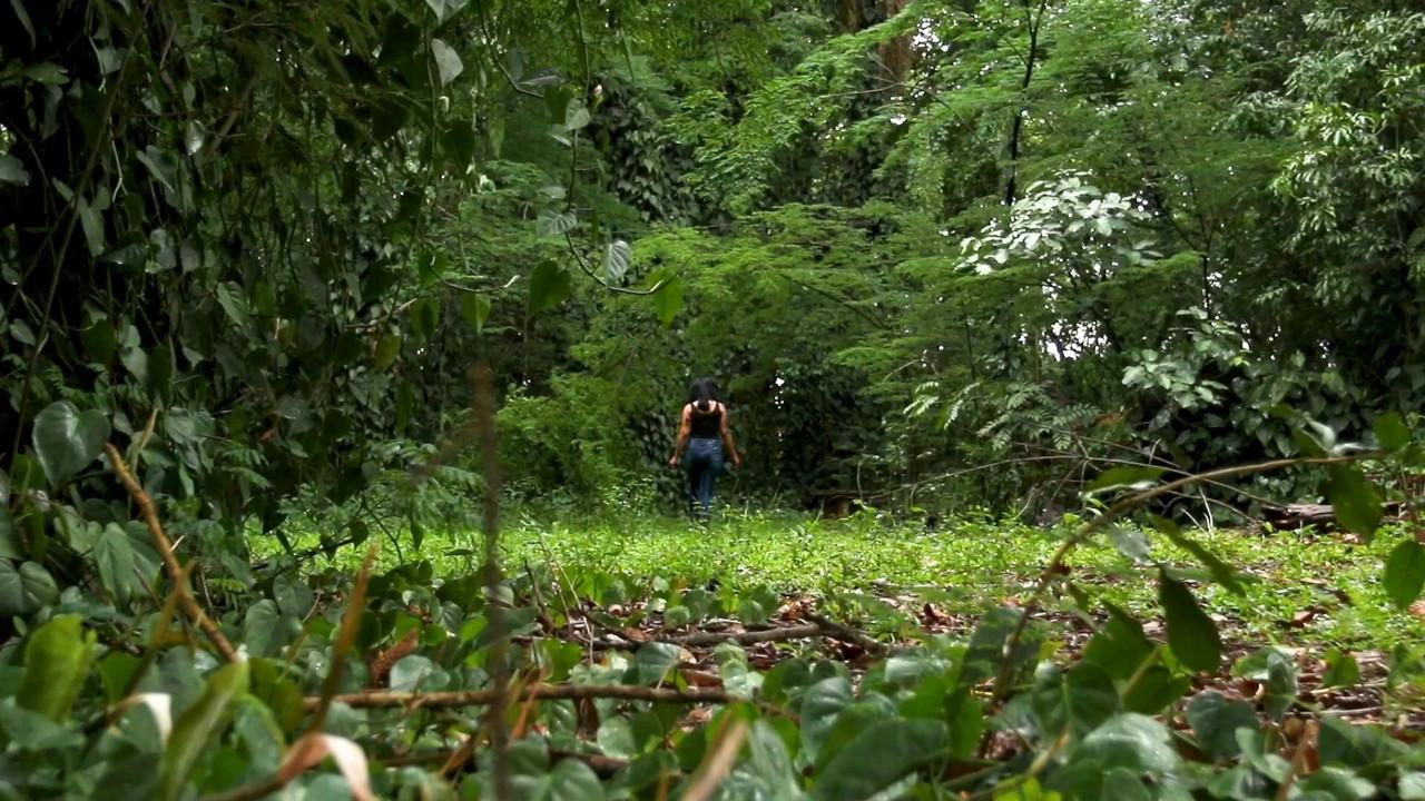 Natur backdrop