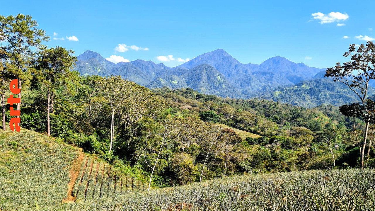 Honduras: Von Regenwald und Strand backdrop