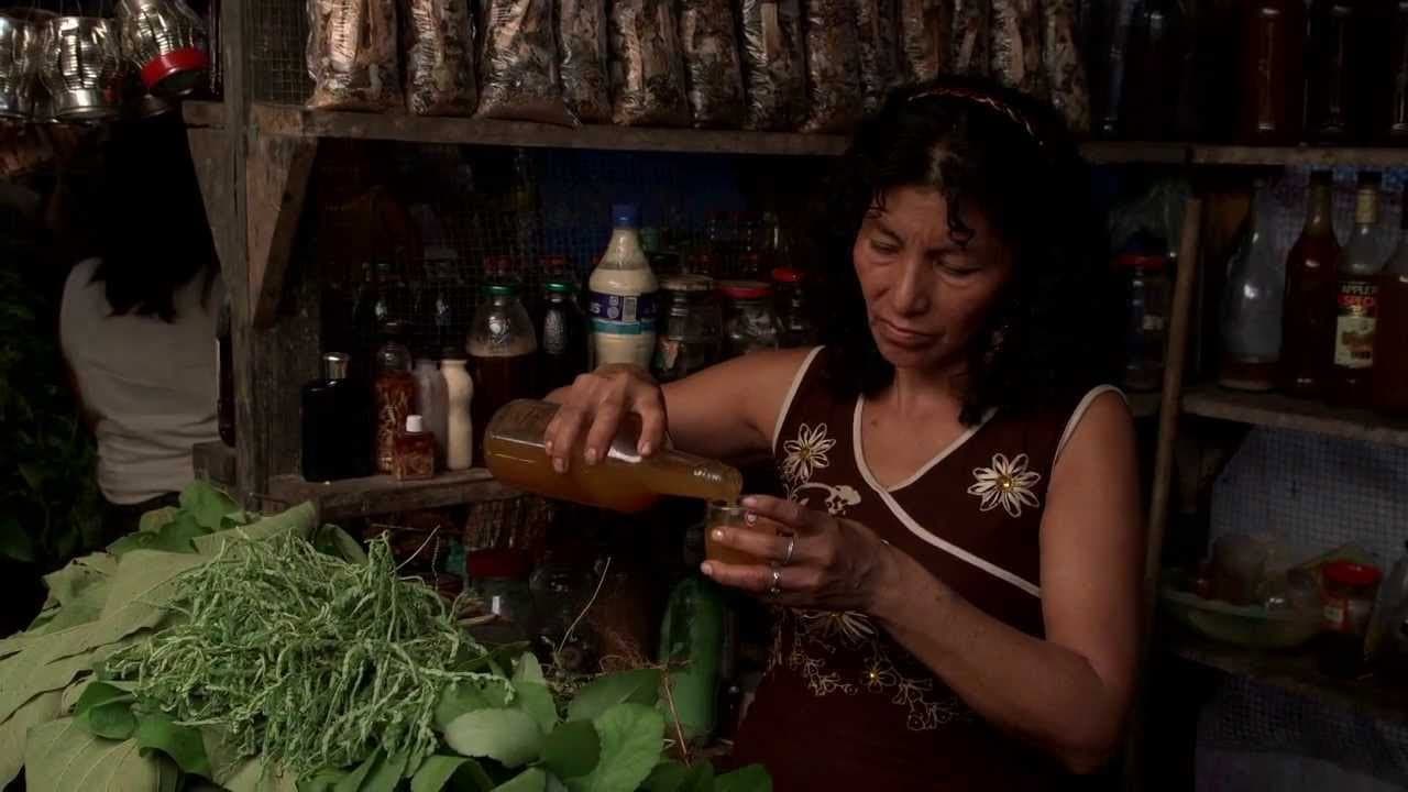 Ayahuasca Diary backdrop
