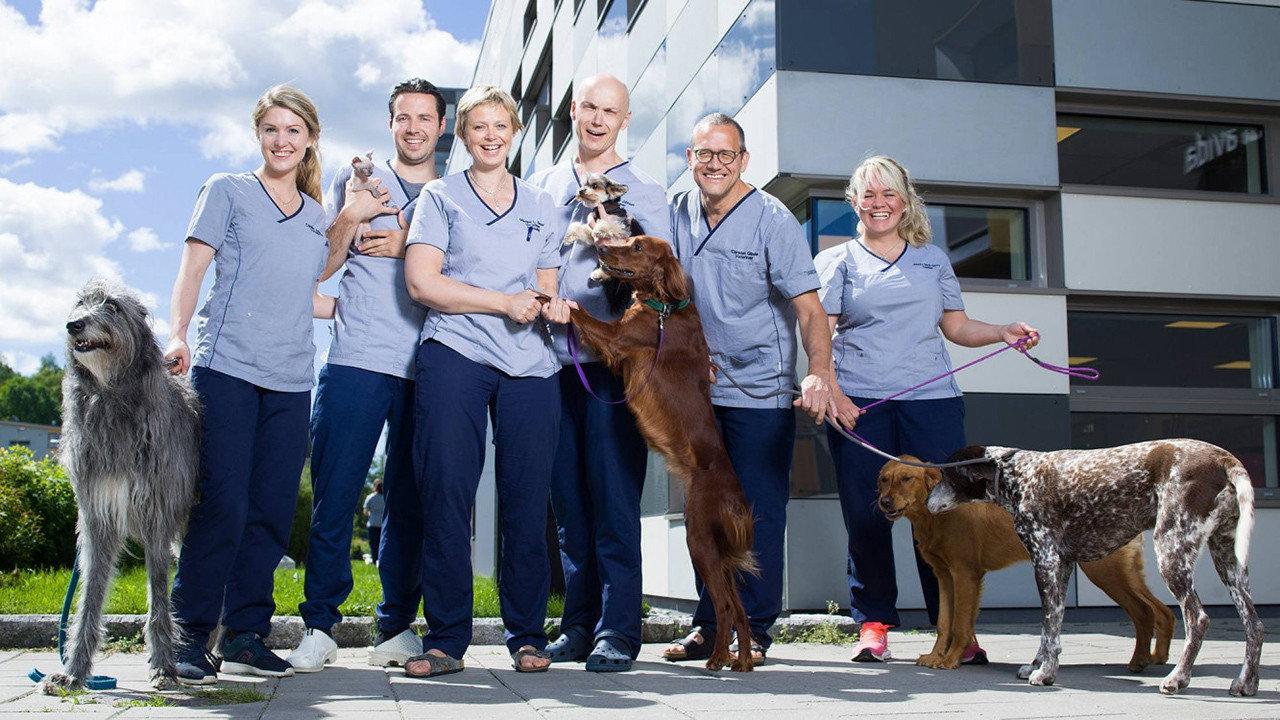 Veterinærene backdrop