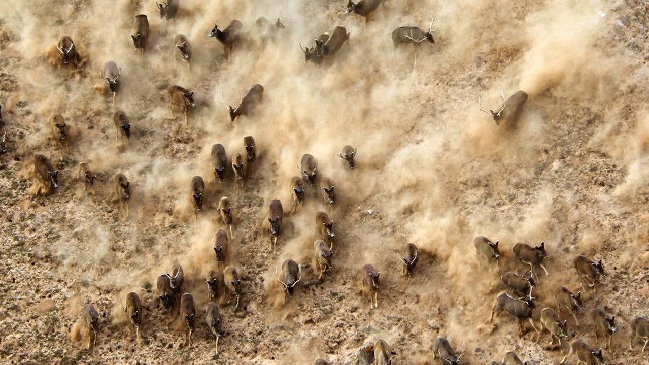 China's Wild Secrets backdrop