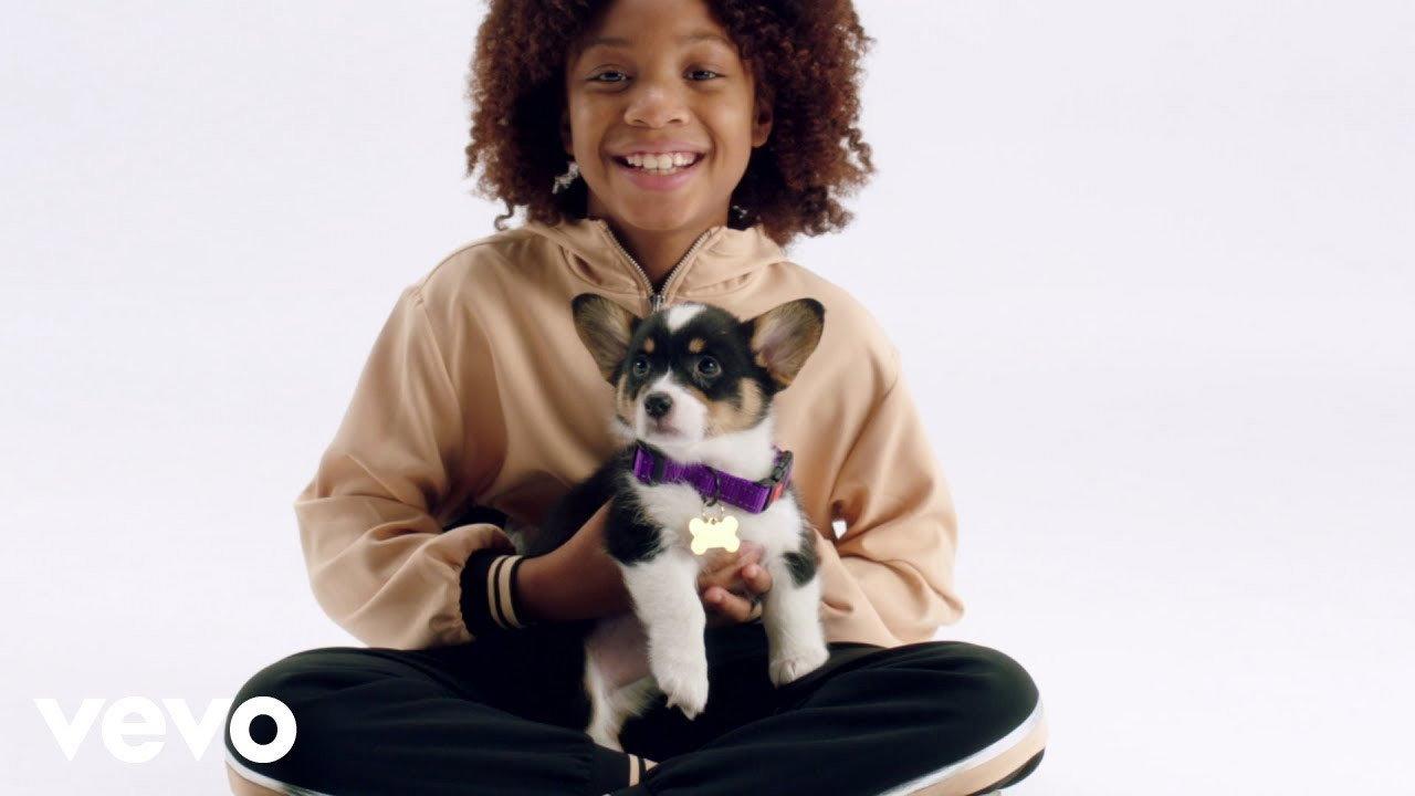 Puppy for Hanukkah backdrop