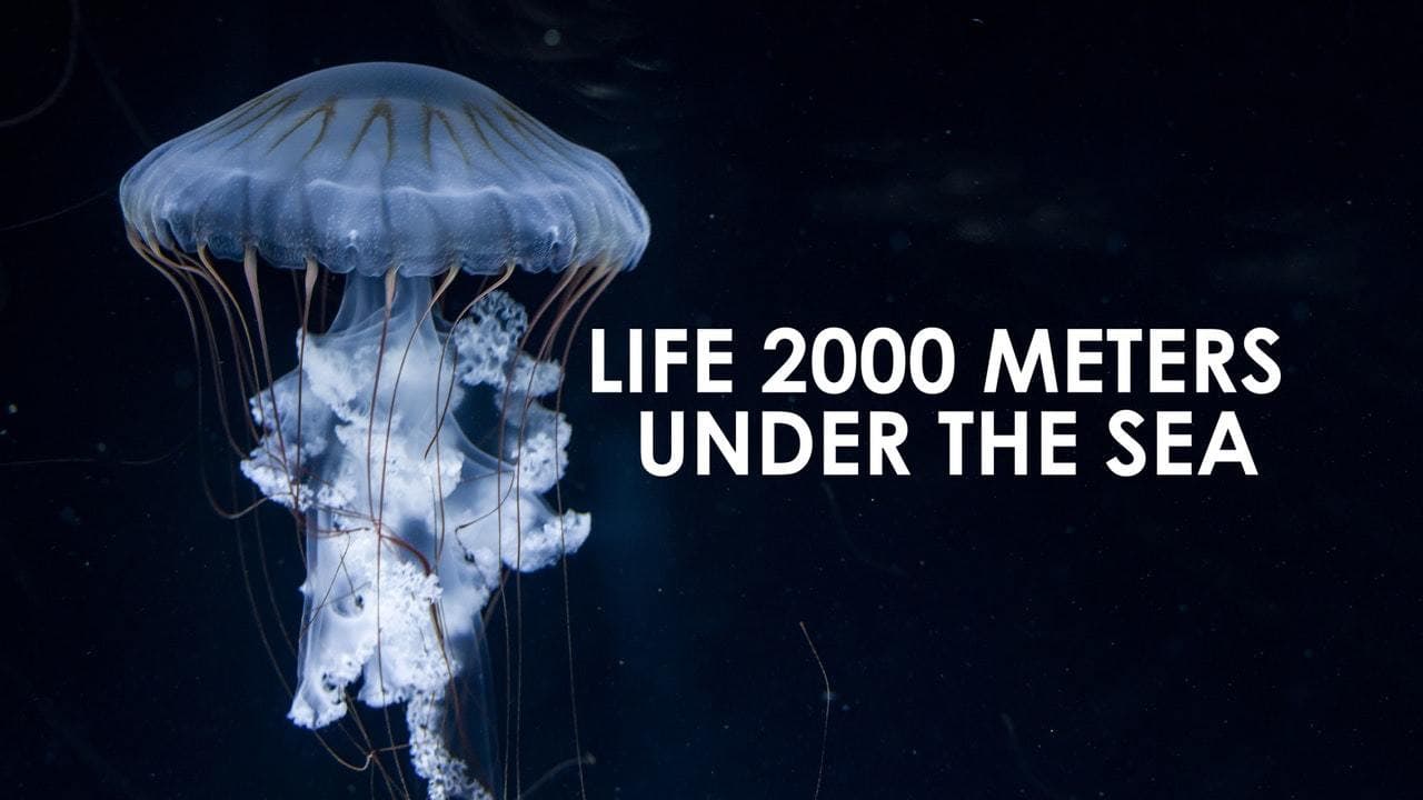 Life 2,000 Meters Under the Sea backdrop