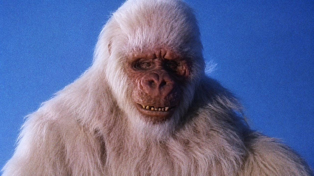 The Ivory Ape backdrop