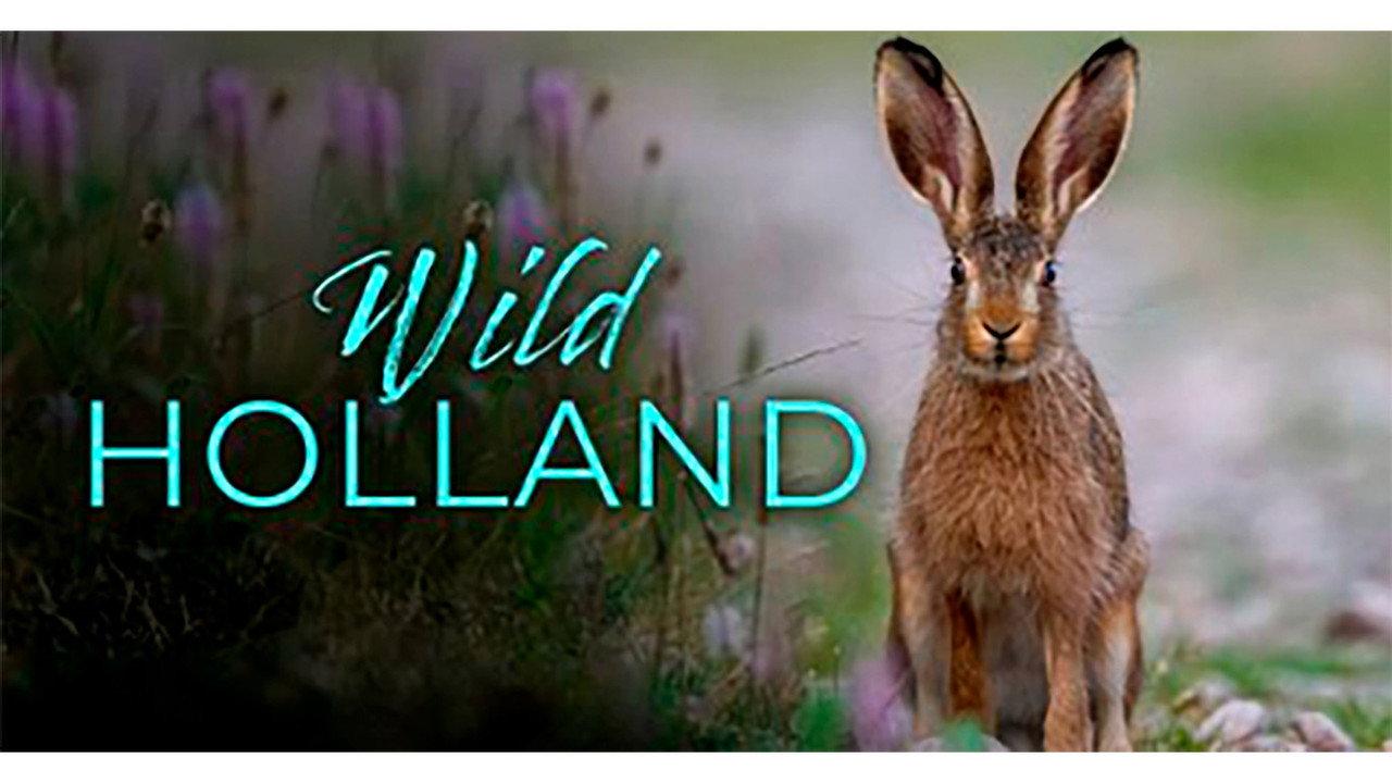 Wild Holland backdrop