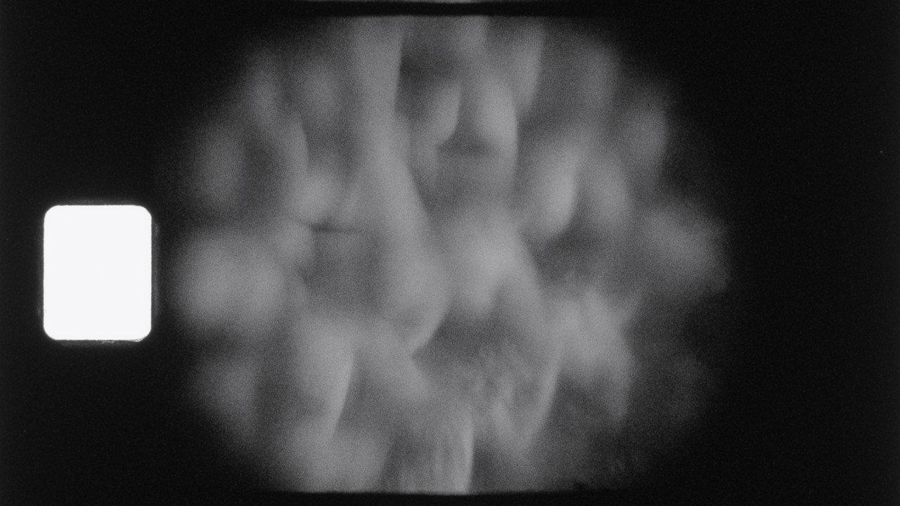 CURA-BUNDA backdrop