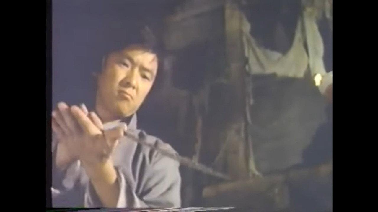 Tiger & Crane Fists backdrop