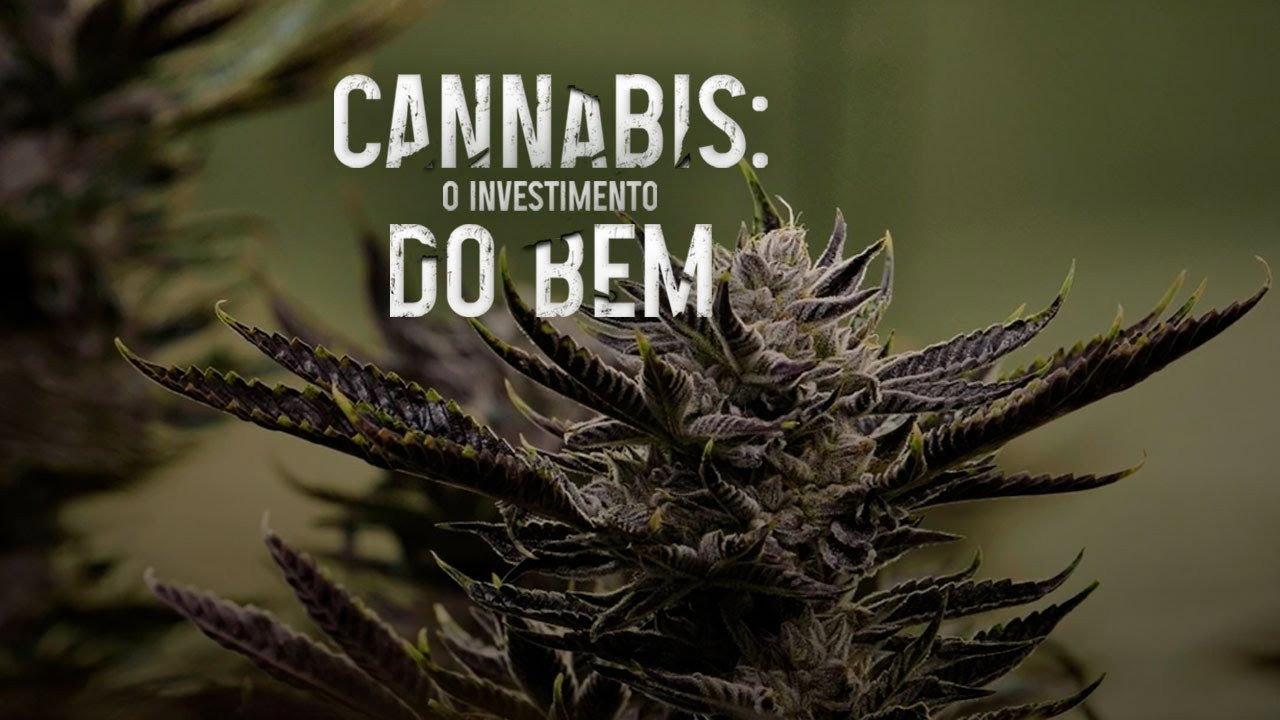 Cannabis: O Investimento do Bem backdrop
