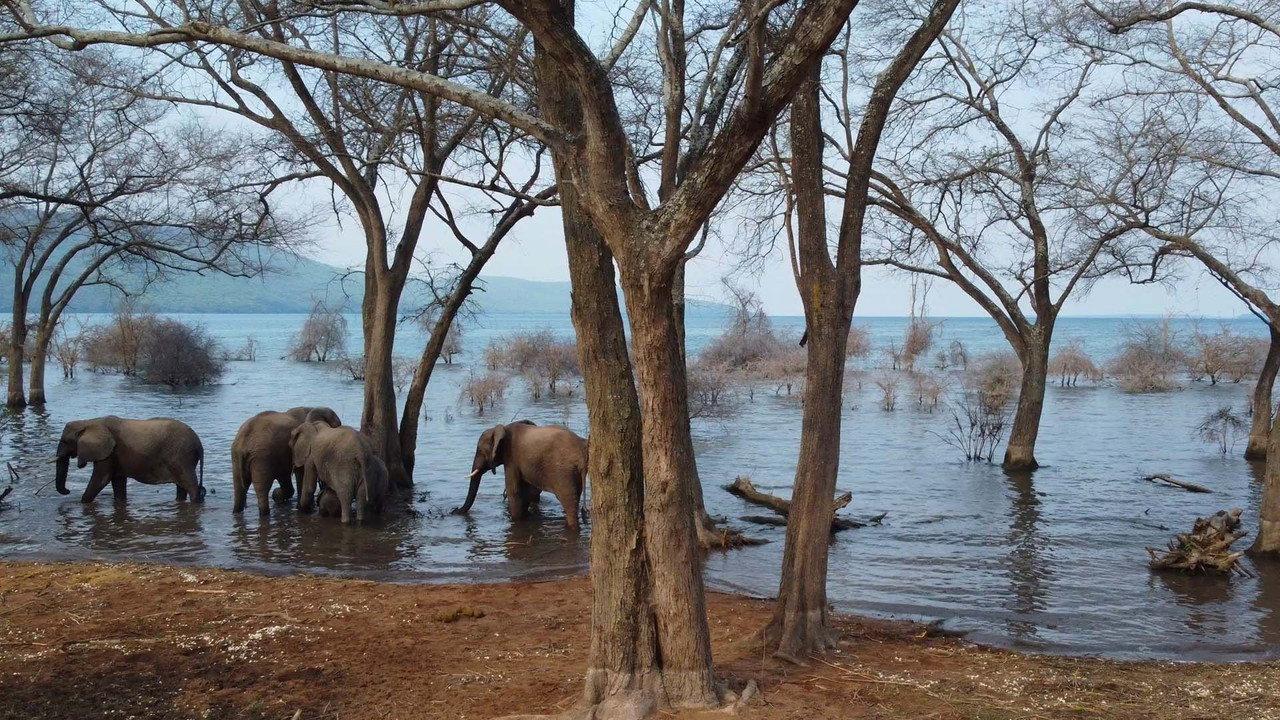 Le lac Tanganyika, la source de vie de l'Afrique backdrop