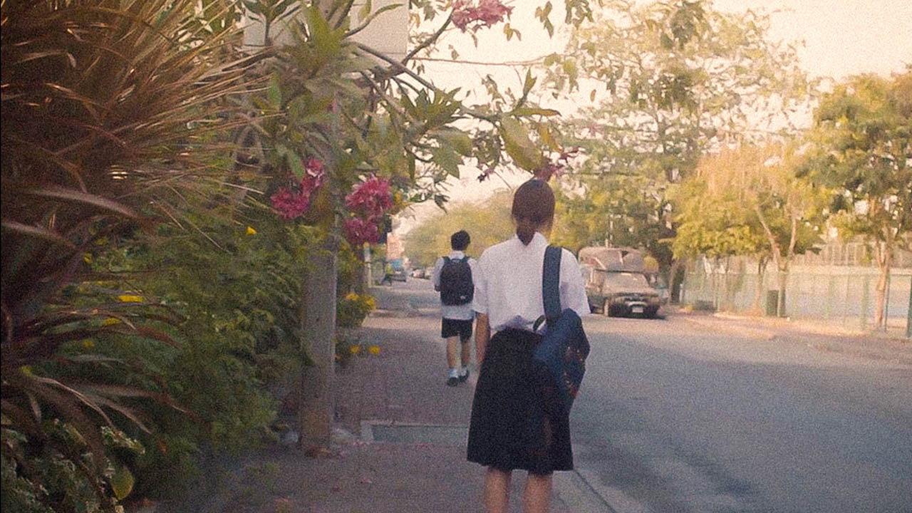 Frontears backdrop