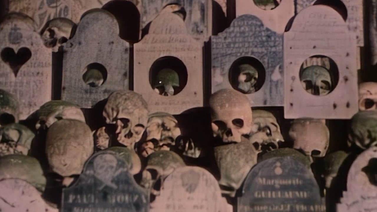 Faces of Death II backdrop