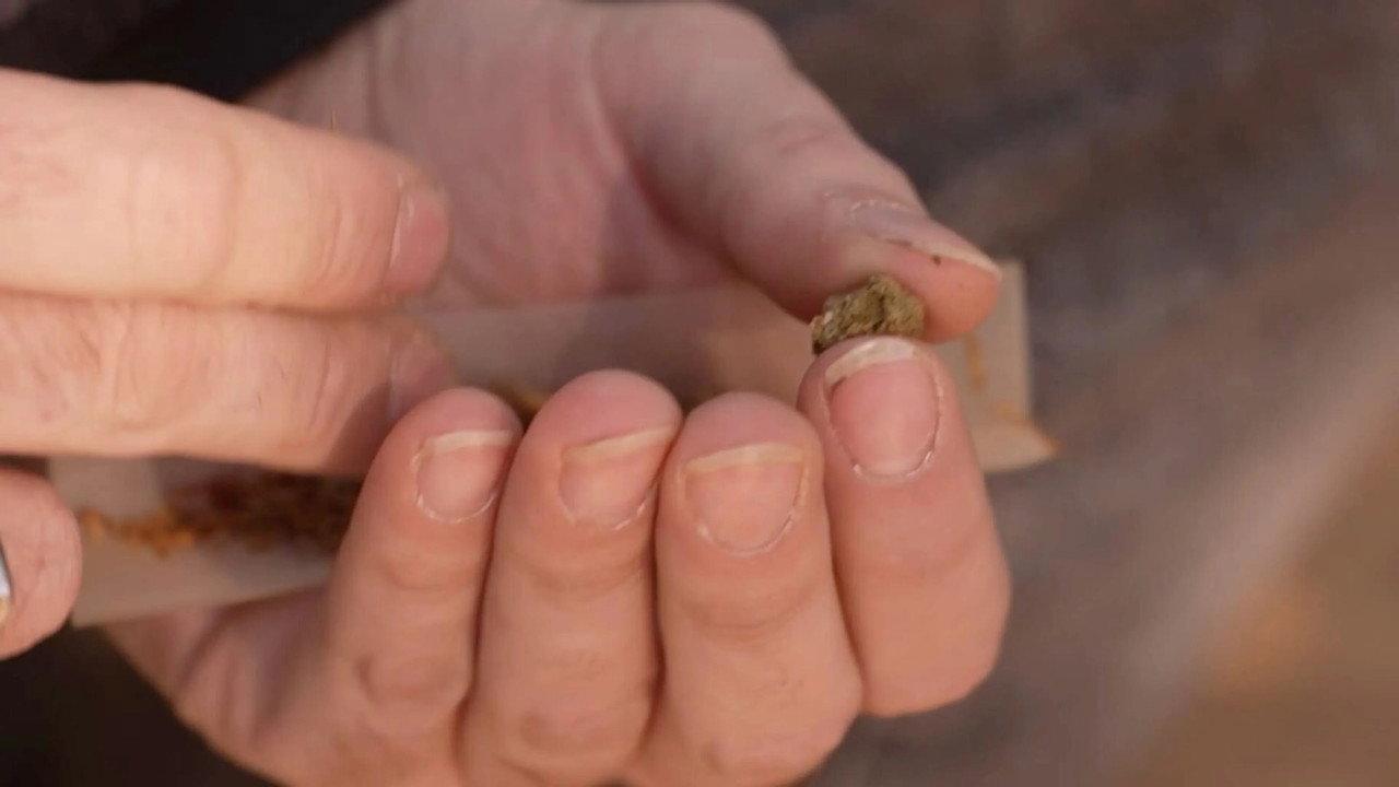 Cannabis, un paradoxe français backdrop