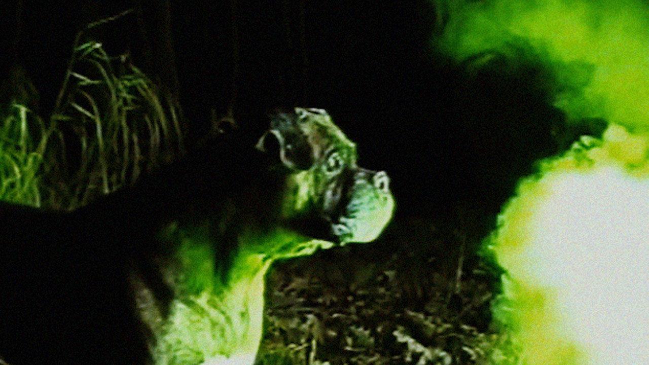 Bonkey: The Mutated backdrop
