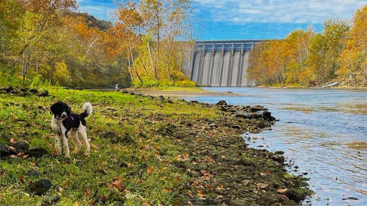 Femboy Fishing backdrop