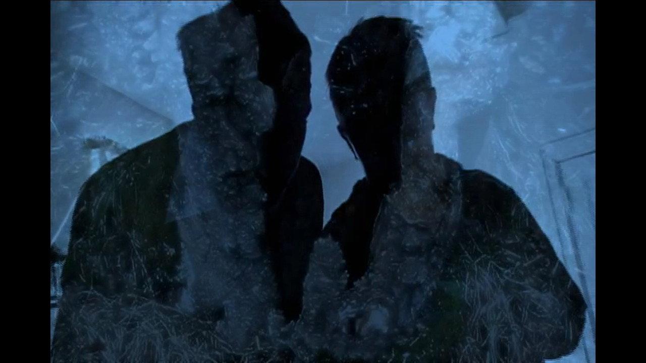 Roots backdrop