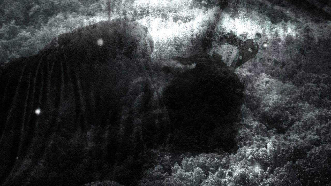 Twilight backdrop