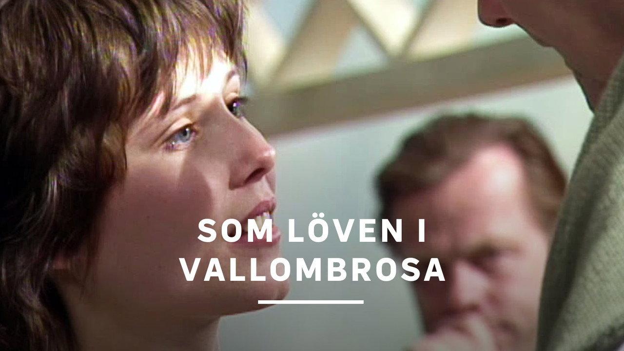 Som löven i Vallombrosa backdrop