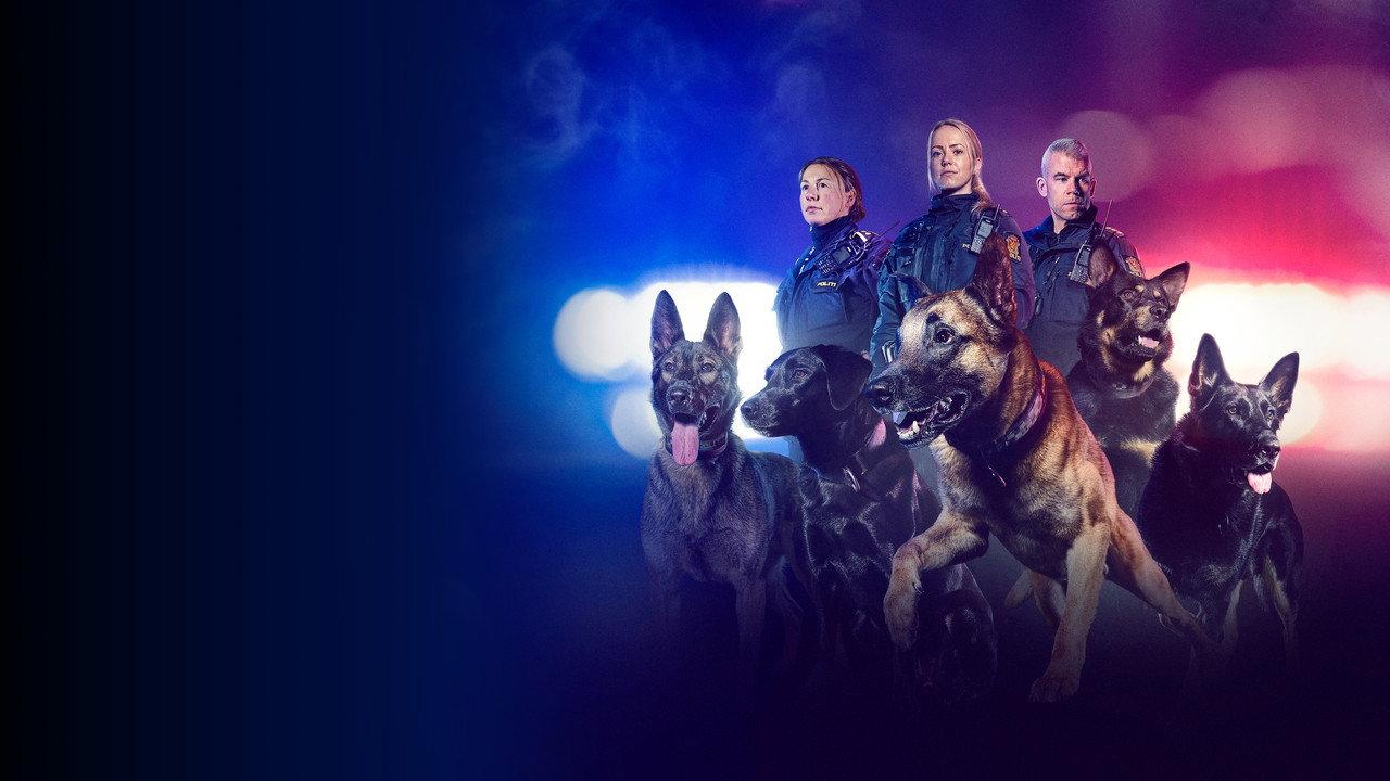 The Dog Patrol backdrop