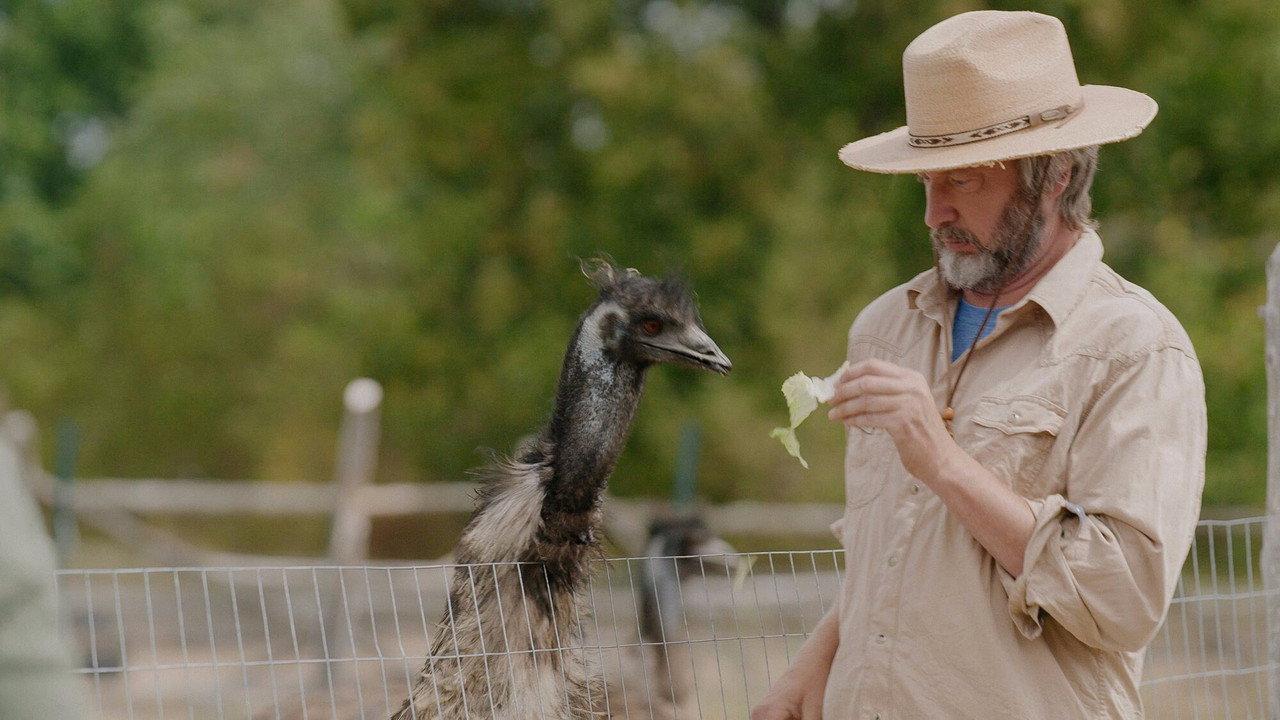 The Tom Green Farm backdrop