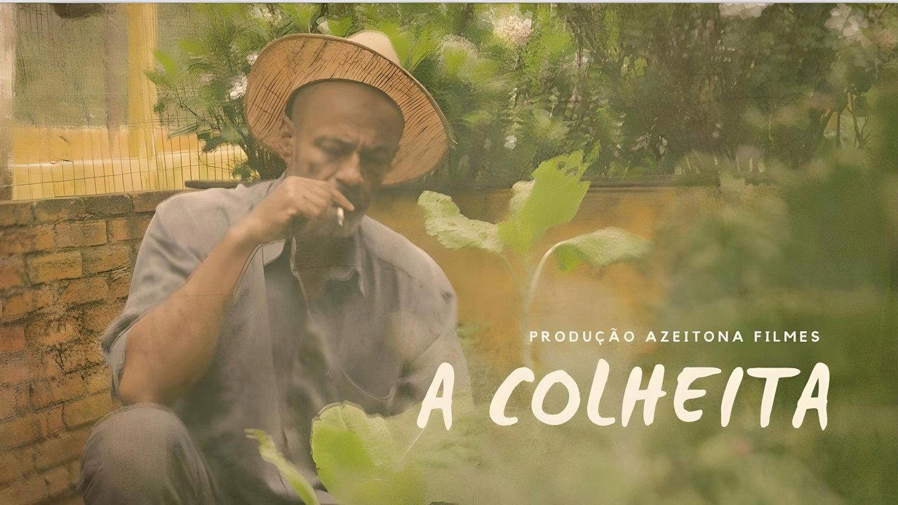 A Colheita backdrop
