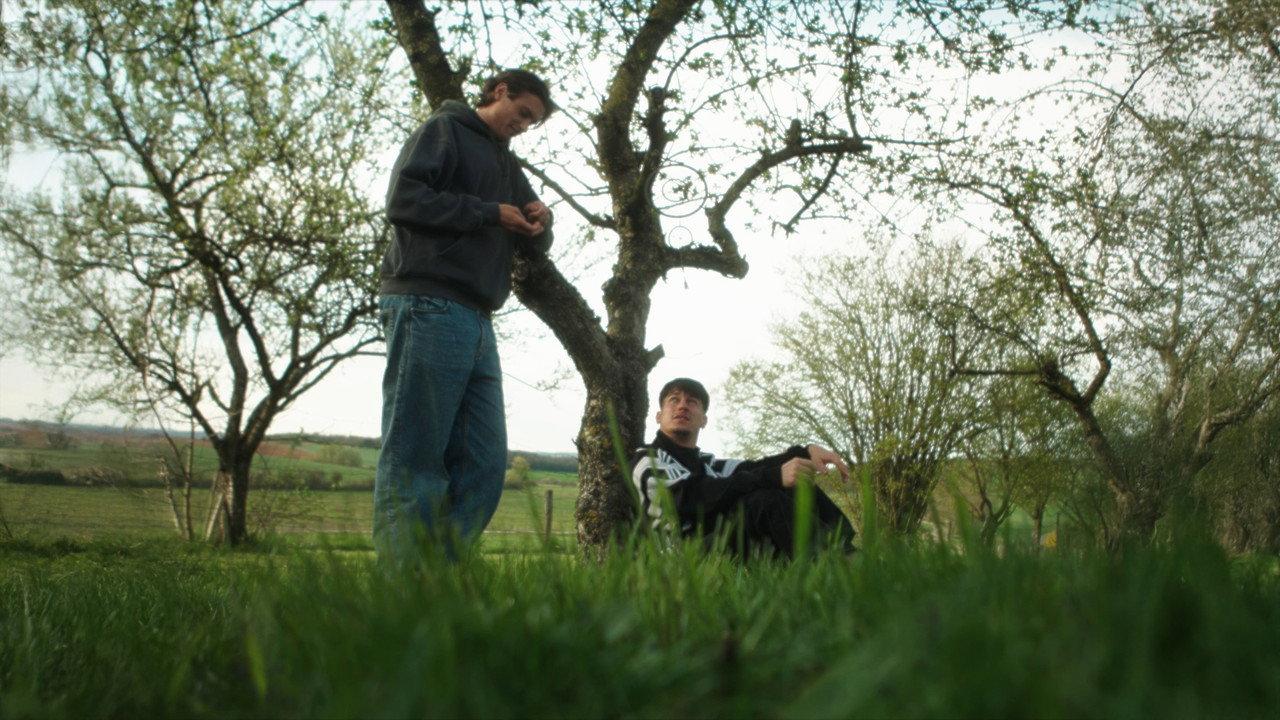 Lola backdrop
