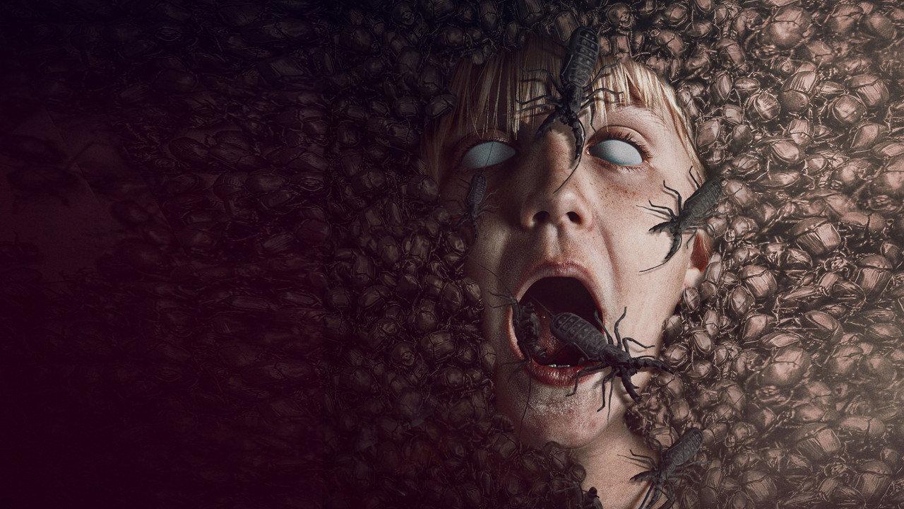 The Nest backdrop