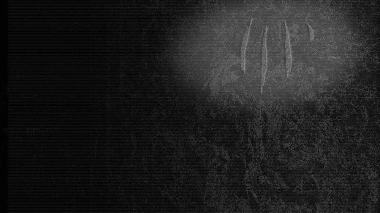 FISSURE backdrop