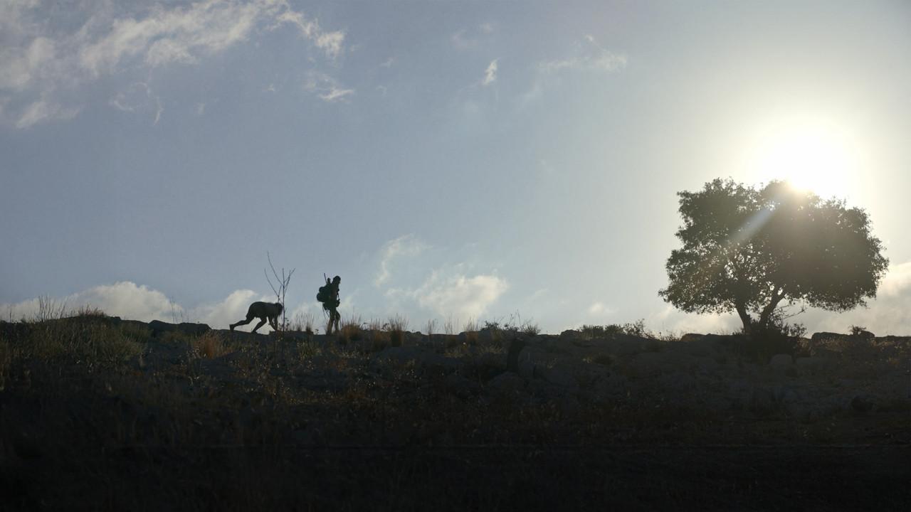 Cave backdrop