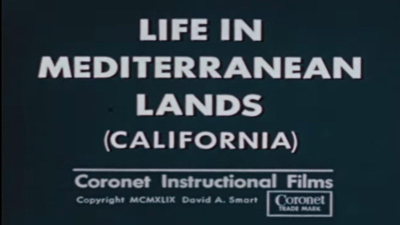 Life In Mediterranean Lands (California) backdrop